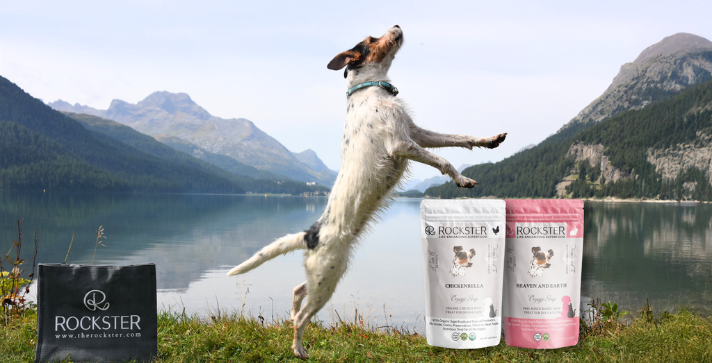 Rockster Super Soups for Dogs and Cats