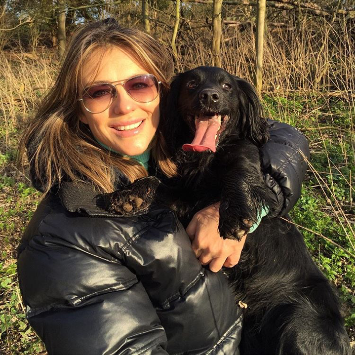 Elizabeth Hurley, mother of 4 dogs